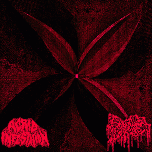 Serotonin Leakage : Acrid Infestation - Serotonin Lekage